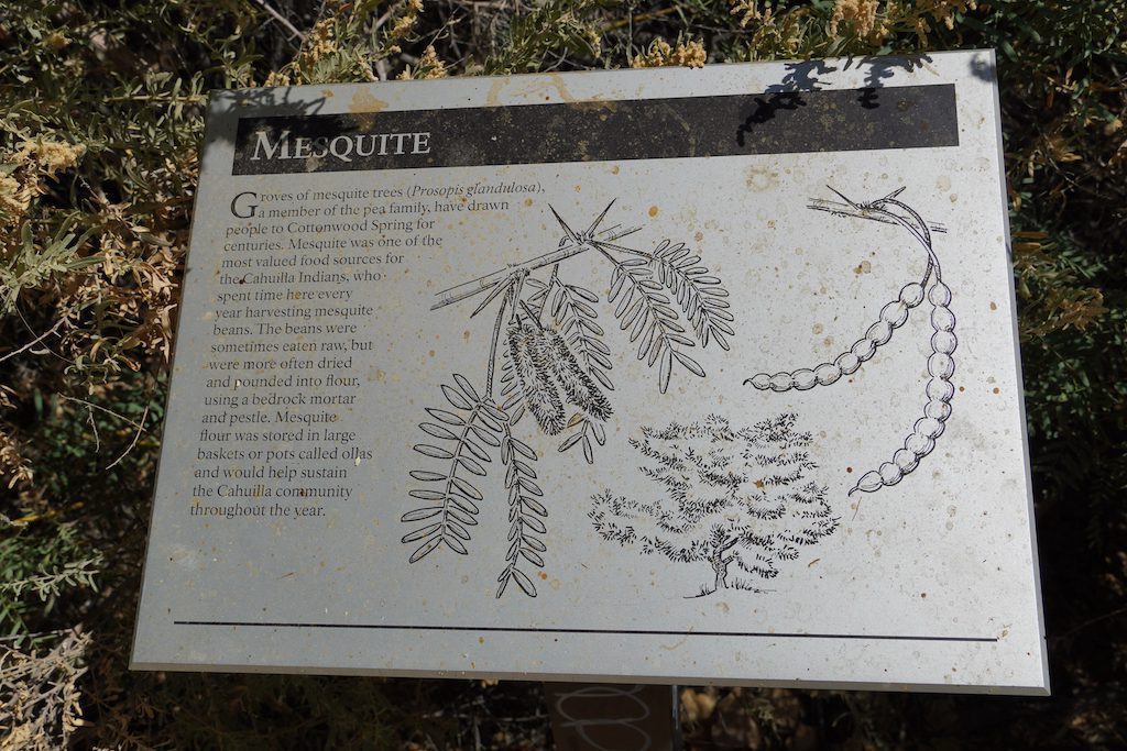 The signboard of Mesquite at Cottonwood in Joshua Tree National Park.