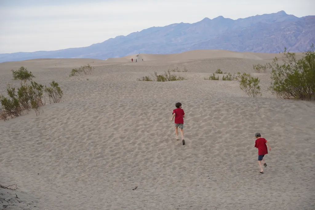 Two boys are running and kicking sands off at Sand Dunes.