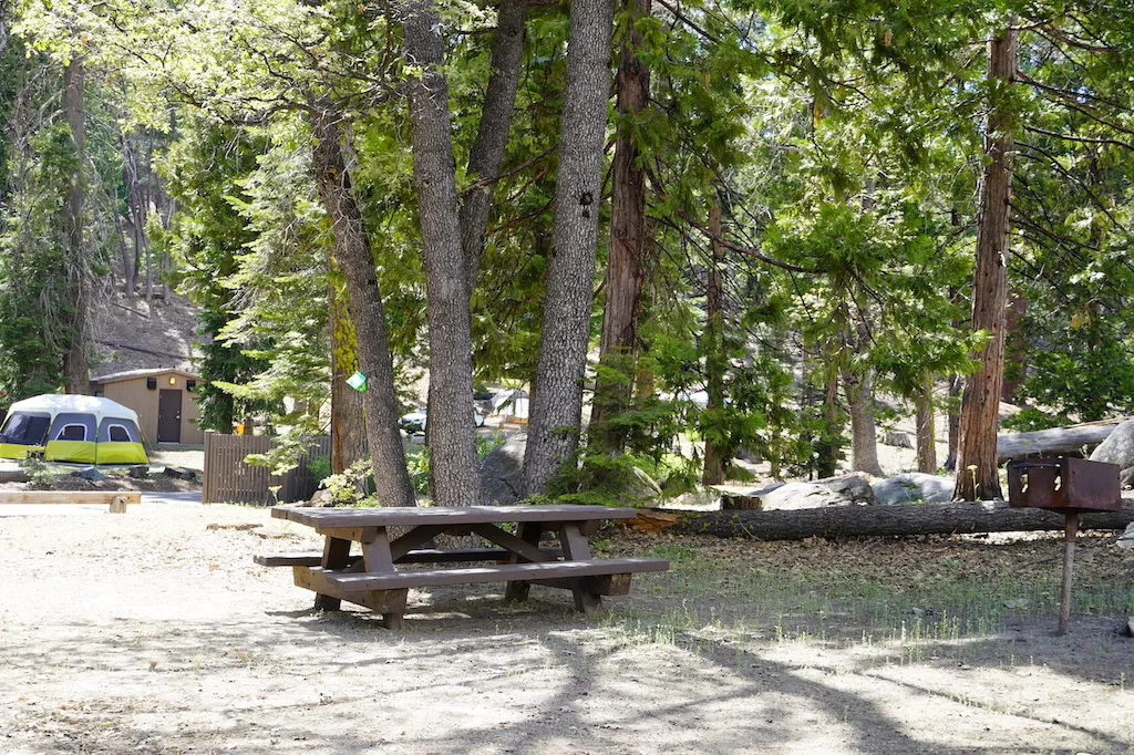 Picnic bench is under the trees at a campground.
