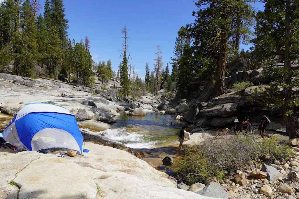 Beautiful creek surrounding by green trees.
