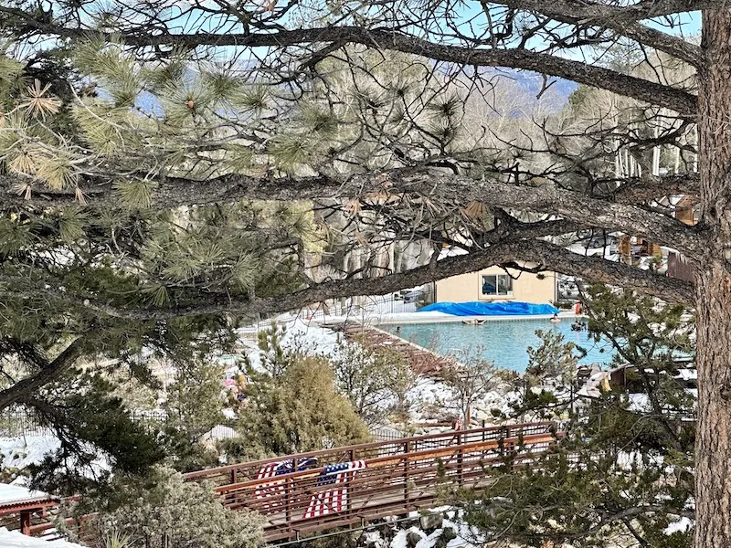 The hot spring pool can be seen under a pine tree.