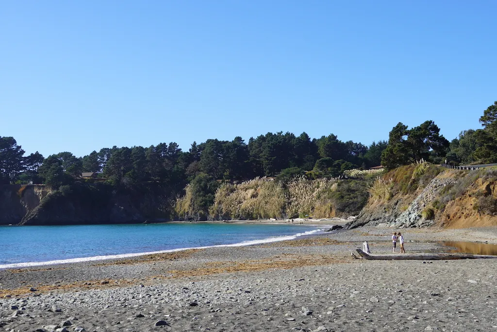 Two boys are hanging out at the beautiful beach of Van Damme State Park in California.