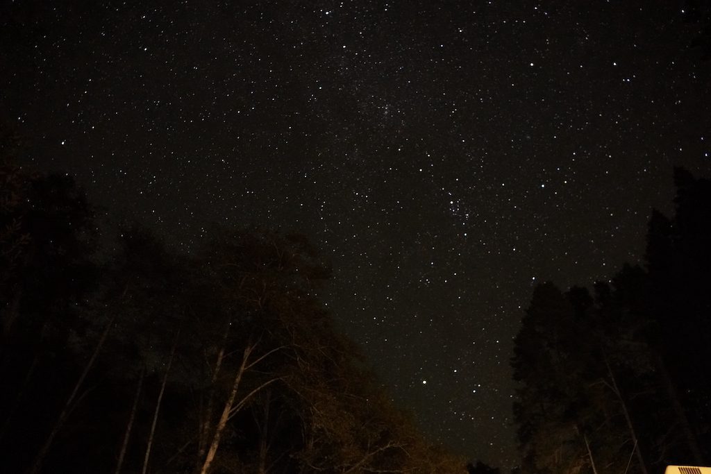 Van Damme State Park Campground - night sky - Tomo Travel & Camping The sky is full of stars at Van Damme State Park in California.