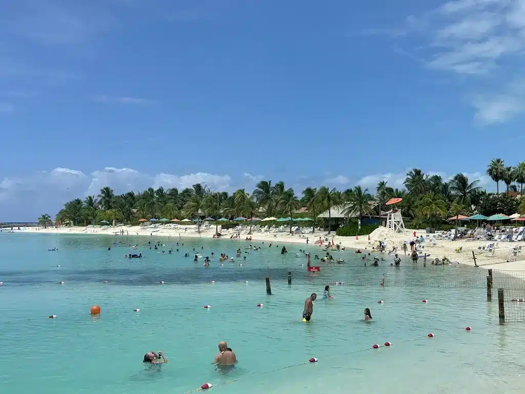 So many are swimming in the crystal clear water.