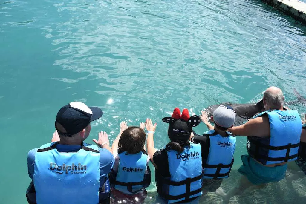 A family is trying to touch a dolphin in the pool.