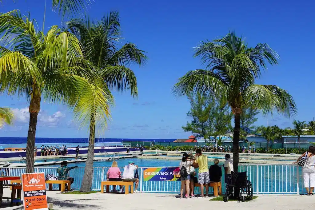 There are some groceries including water bottles, milk, sandwiches in the fridge at a hotel, "The Ranch at Death Valley" in Death Valley