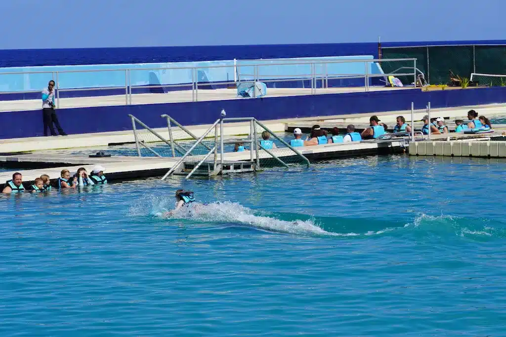 People are hanging out and eating at a Western themed restaurant, "Last Kind Words Saloon & Steakhouse" in Death Valley.