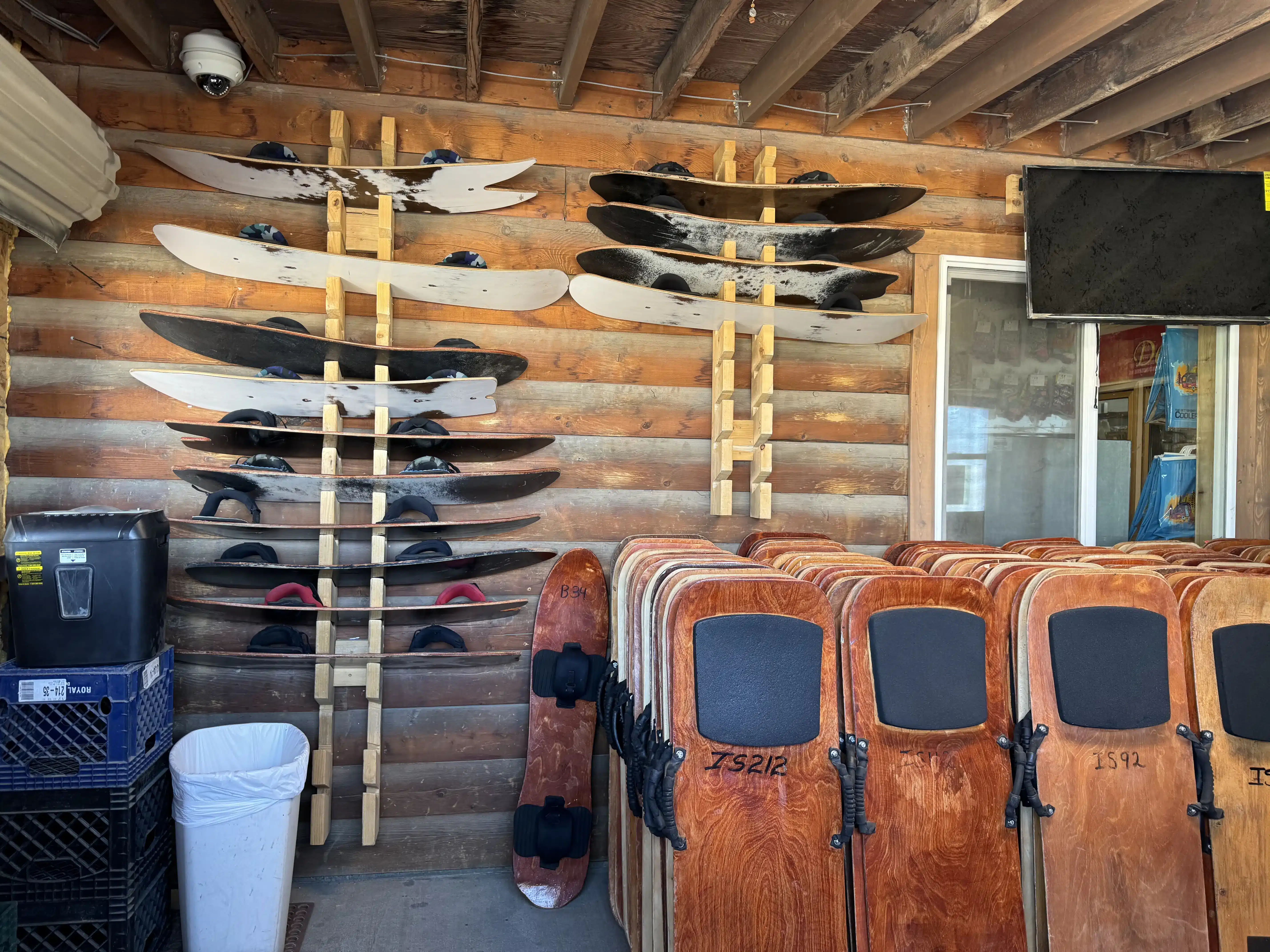 A moose standing resiliently in the nature of the Rocky Mountains