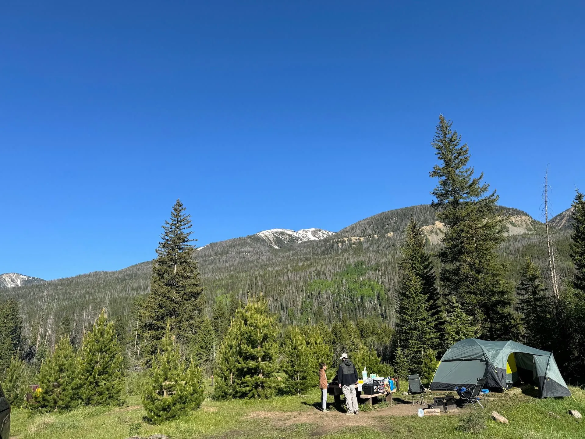 Dad and a son are talking in front of a picnic table next to a tent, pine trees, mountains with a little snow at Timber Creek in Rocky Mountain National Park Colorado