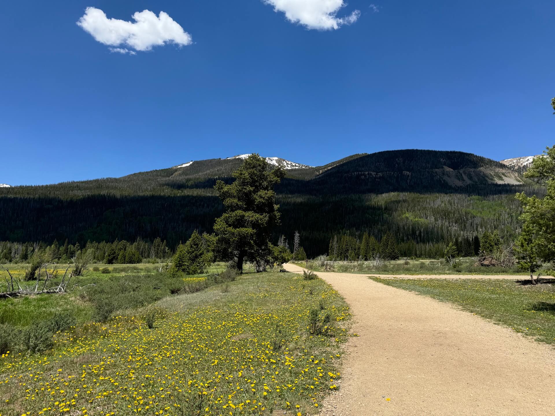 Trail leading towards slightly snow-capped mountains