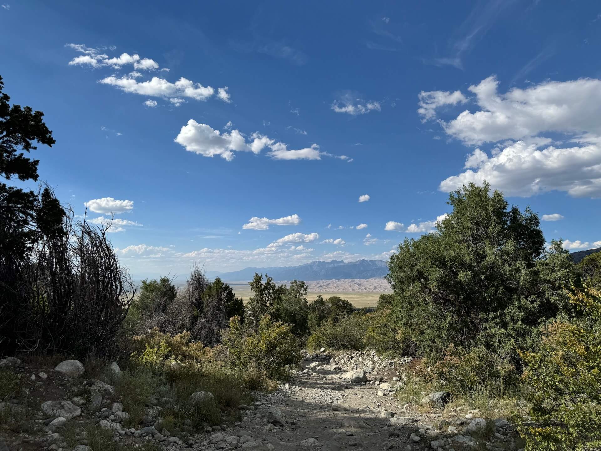 The Great Sand Dunes can be seen in the distance from the Zapata Falls trail.
