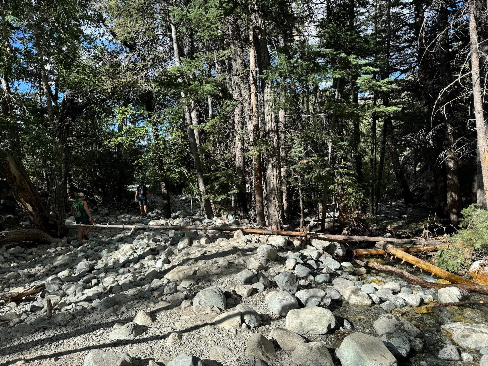 A small stream at Zapata Falls flows through large rocks and fallen trees.