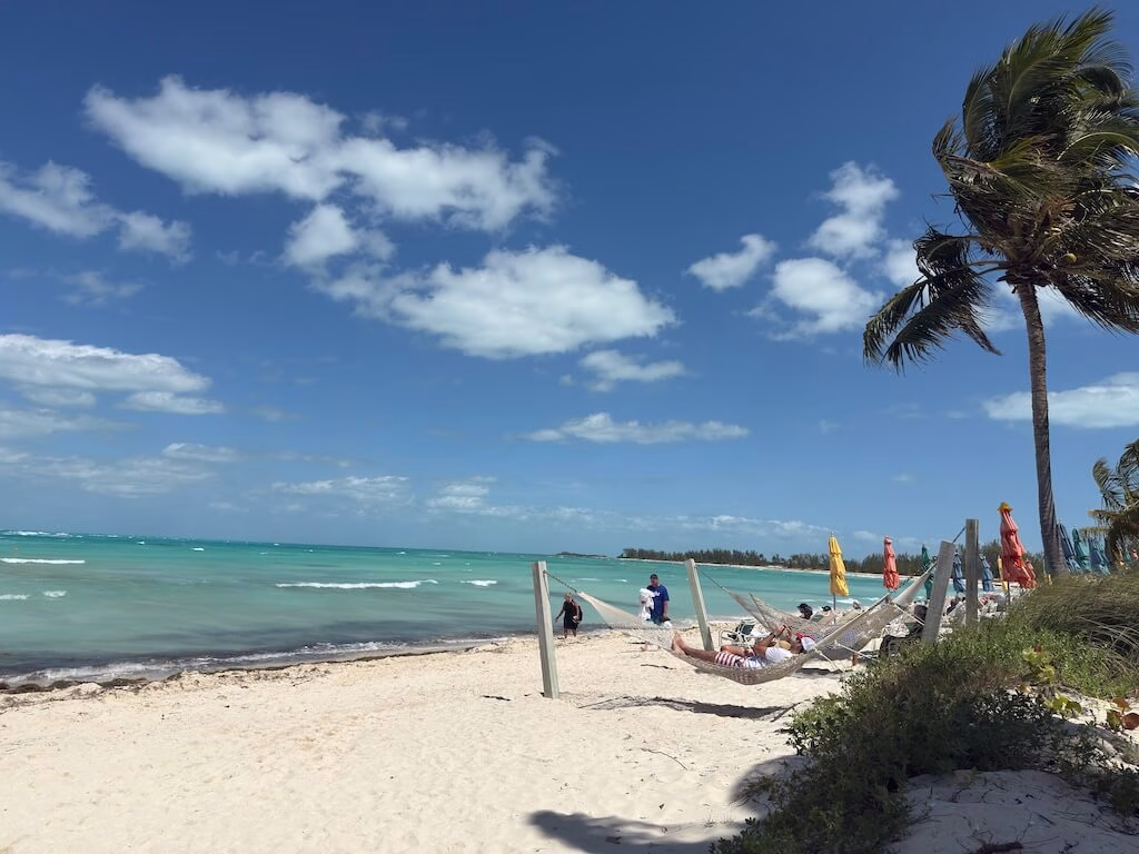 Adult only beach is seen along the sand path between palm trees.