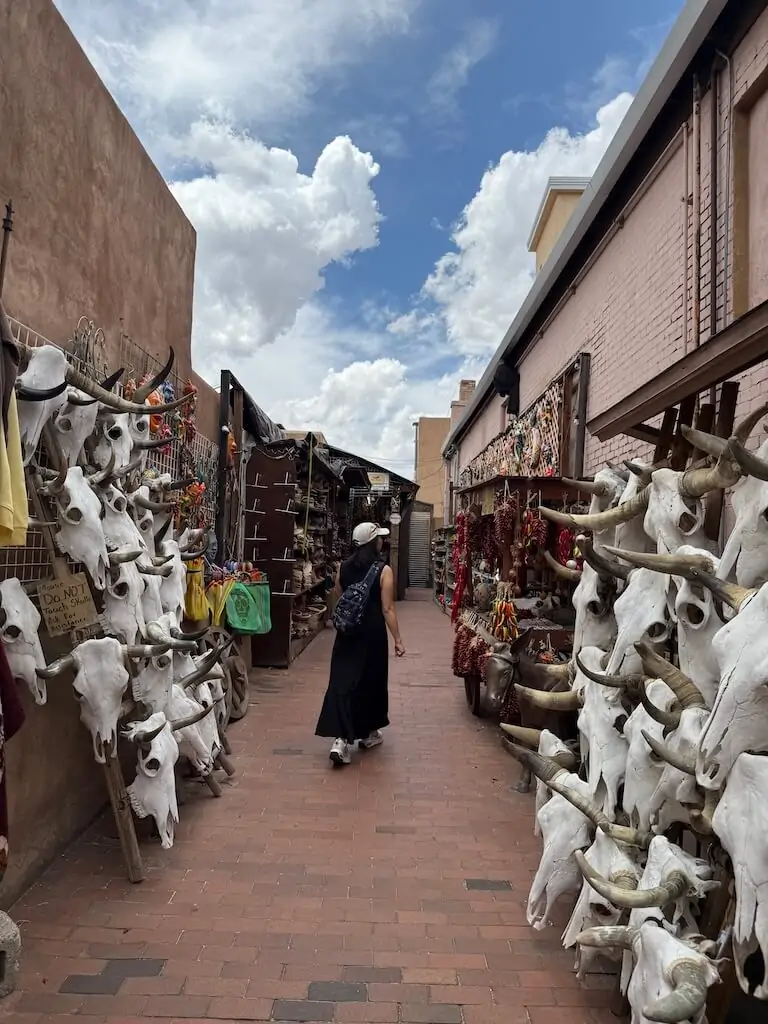 Traveler walking through a rustic alleyway market in Santa Fe, New Mexico, lined with cow skulls, chili ristras, and handcrafted souvenirs—an off-the-beaten-path gem for those wondering where to go in Santa Fe.
