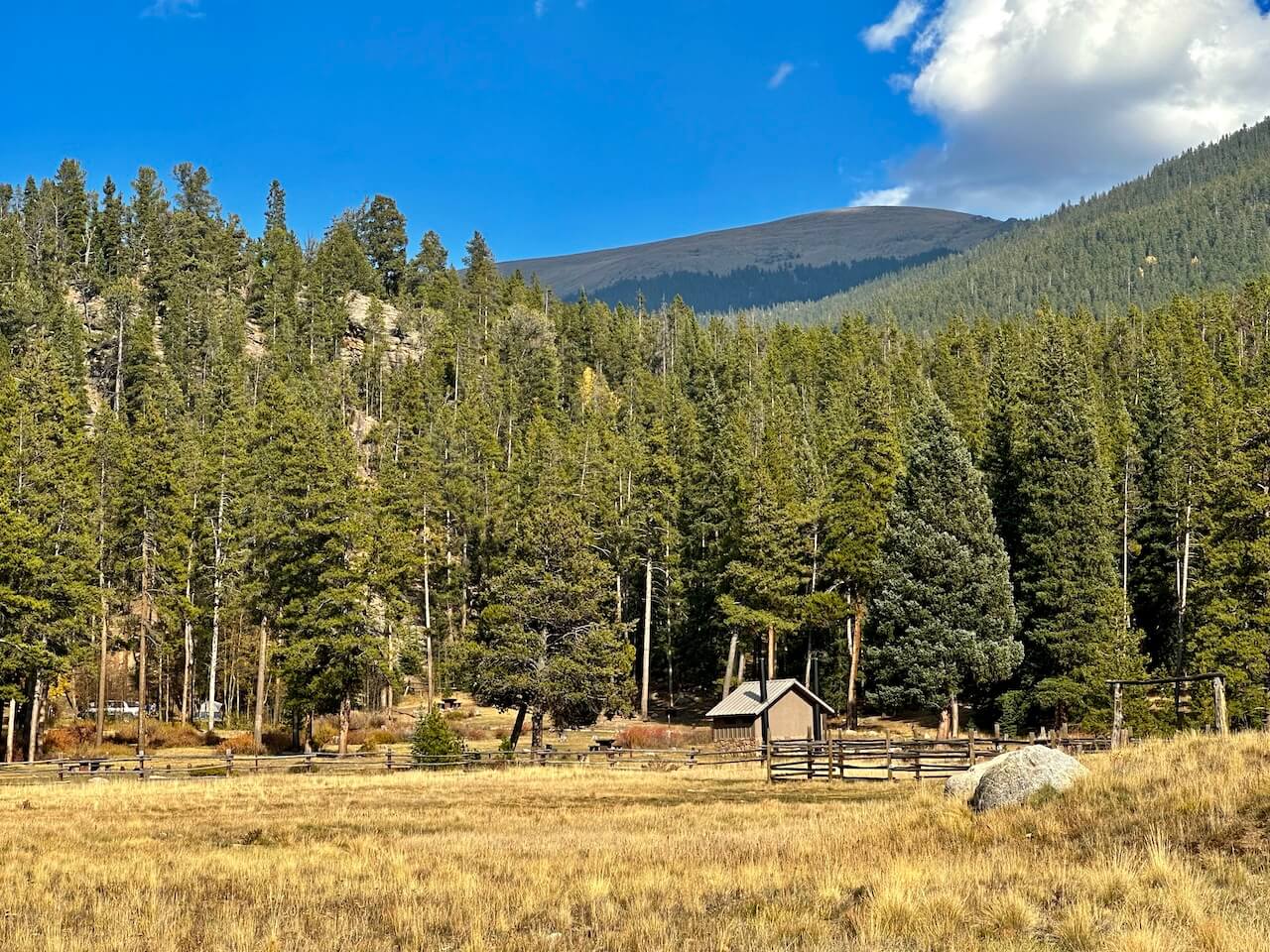 Open campground meadow surrounded by pine trees at Burning Bear Campground along Guanella Pass.