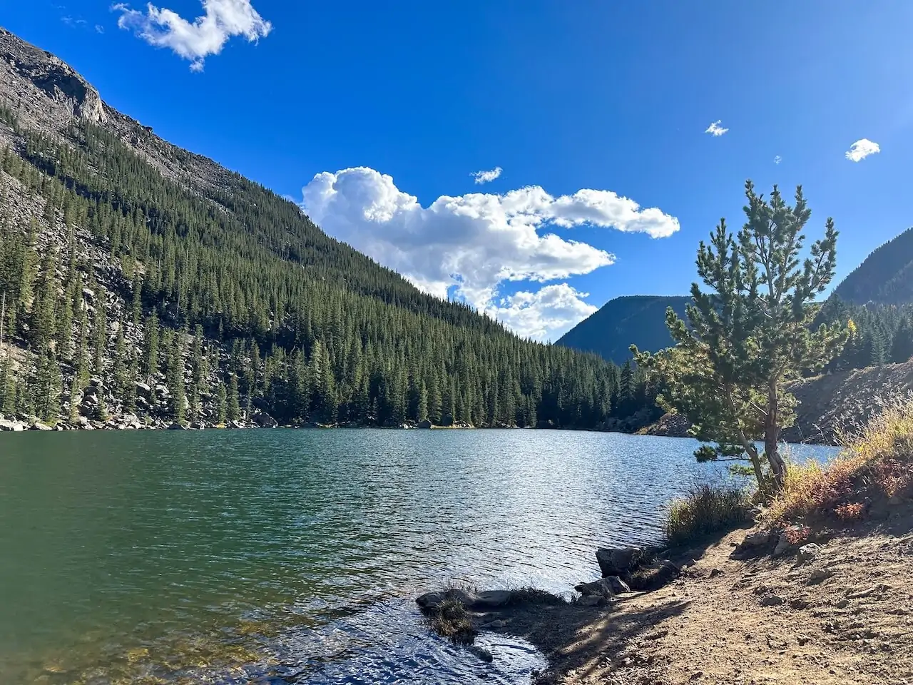 Clear alpine lake surrounded by evergreen forests and mountains at Guanella Pass in Colorado.
