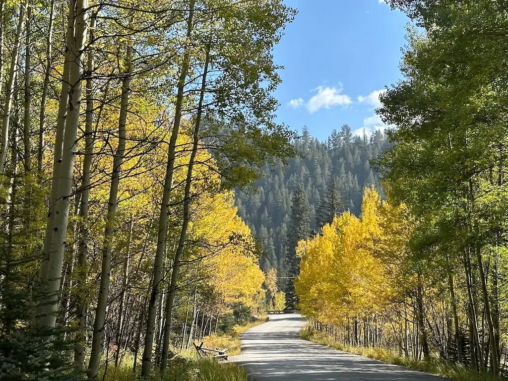 Scenic road through golden aspen trees at Guanella Pass, one of the best spots for fall colors in Colorado.