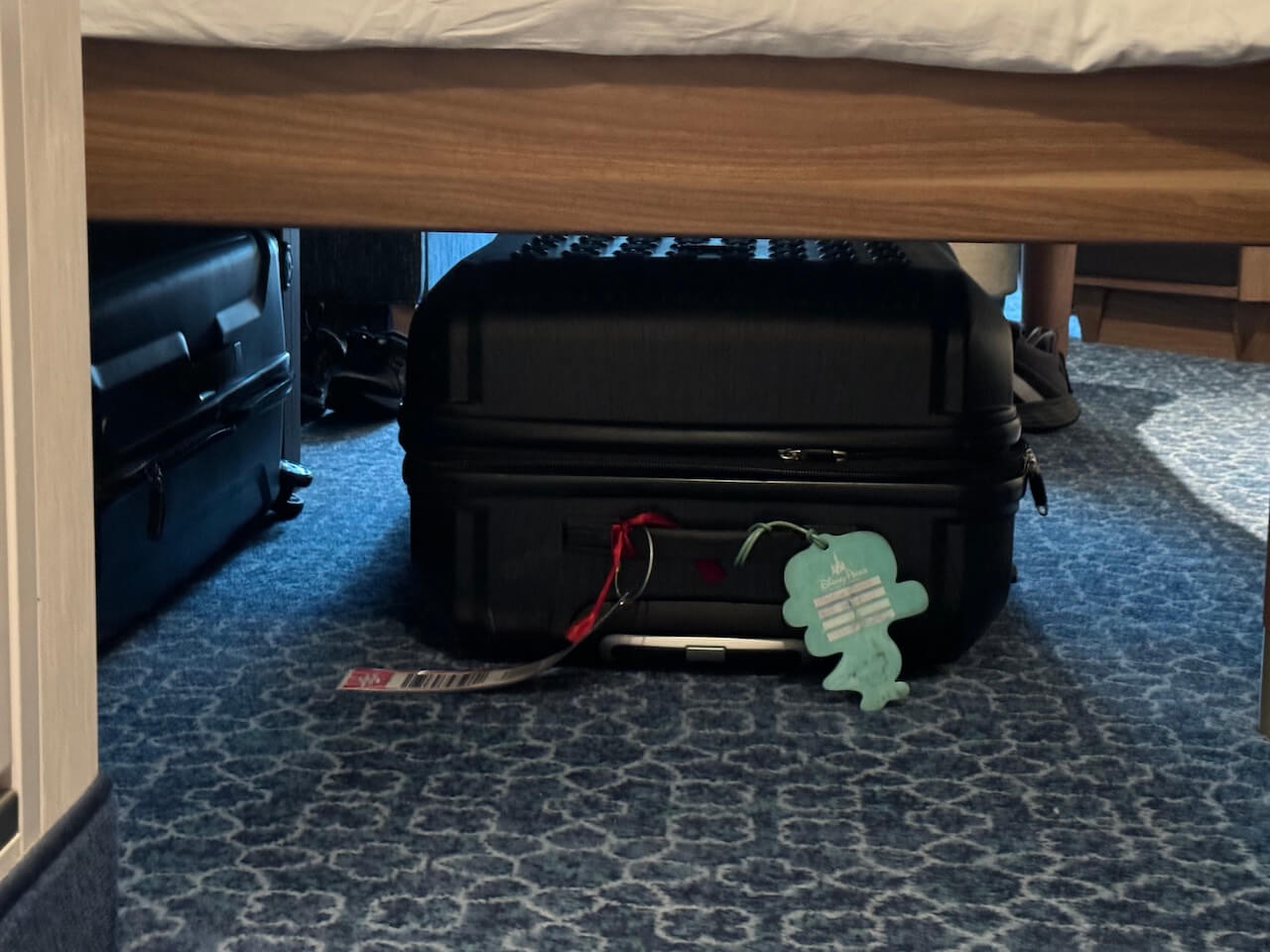 Disney Cruise Stateroom Storage Hack: Keep Luggage Under the Bed for More Space - Tomo Travel & Camping ディズニークルーズの客室で、スーツケースをベッド下に収納している様子。限られた船室スペースを有効活用する収納アイデア。