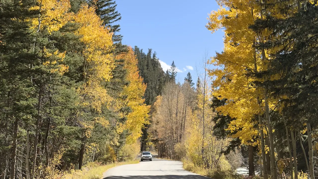 黄金色のアスペンの木々に囲まれたグアネラパスの風光明媚な道路。コロラド州で最も美しい紅葉スポットのひとつ。