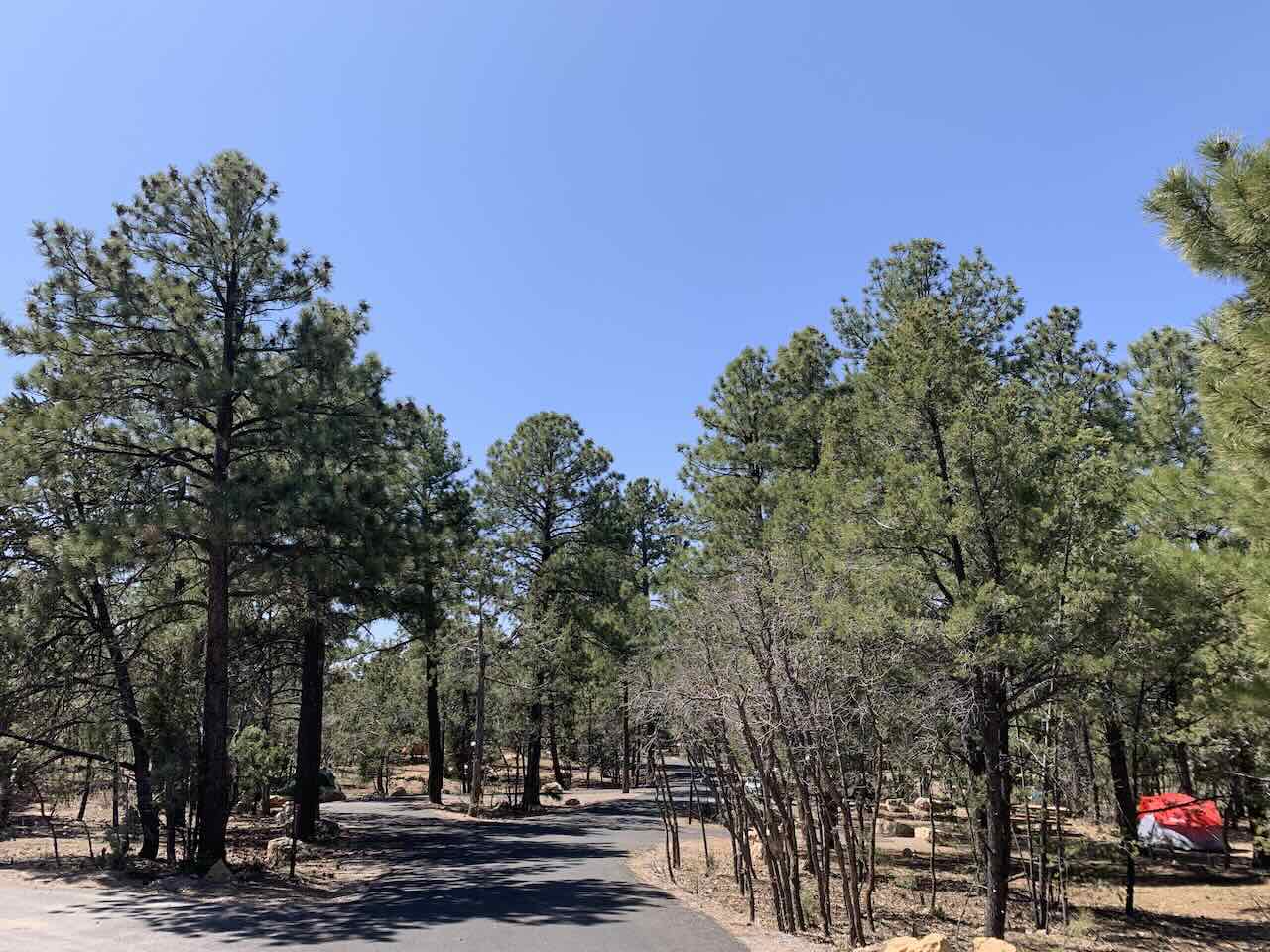 Grand Canyon National Park South Rim View from Mather Campground Tent Camping Trip - Tomo Travel & Camping Expansive view of the Grand Canyon from the South Rim showing layered red and purple canyon walls stretching to the horizon under a clear blue sky in early spring