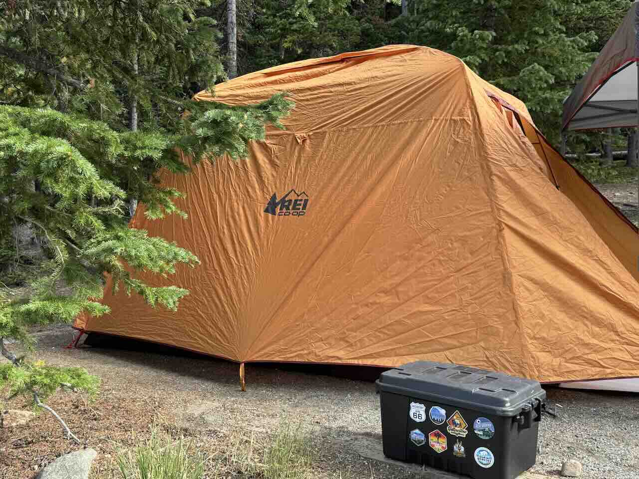 REI Co-op Family Tent Set Up at a National Park Campground with Camping Storage Bin - Tomo Travel & Camping Orange REI Co-op family tent pitched among pine trees at a national park campground with a black storage bin covered in national park stickers in the foreground