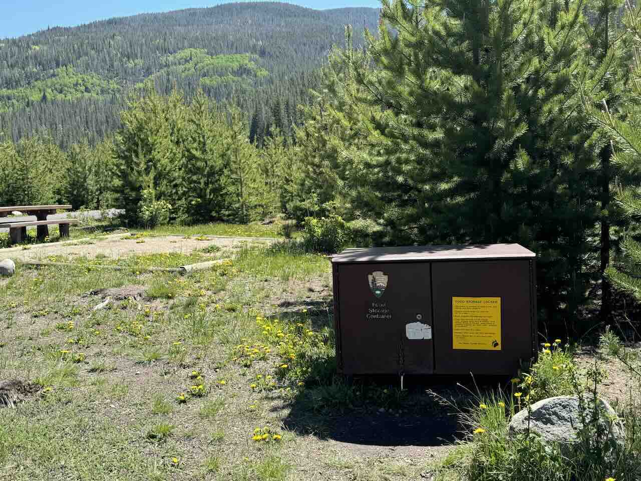 National Park Bear Food Storage Locker at a Family Tent Camping Campground - Tomo Travel & Camping Brown National Park Service bear proof food storage container locker at a campground with pine trees and a mountain ridge visible in the background