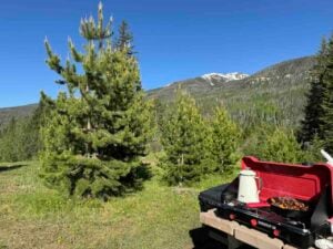 Tent Camping in National Parks: Camp Stove Breakfast with Mountain Views - Tomo Travel & Camping Camp stove cooking breakfast with a snow-capped mountain and pine trees in the background during a family tent camping trip in a national park