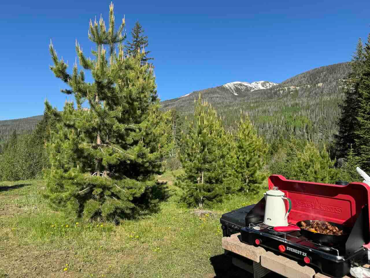 アメリカ国立公園テントキャンプ:絶景山岳ビューで楽しむキャンプ朝ごはん|Tomo Travel & Camping 国立公園でのファミリーテントキャンプ中、雪をかぶった山とパイン(松)の木を背景にキャンプストーブで朝食を作っている様子