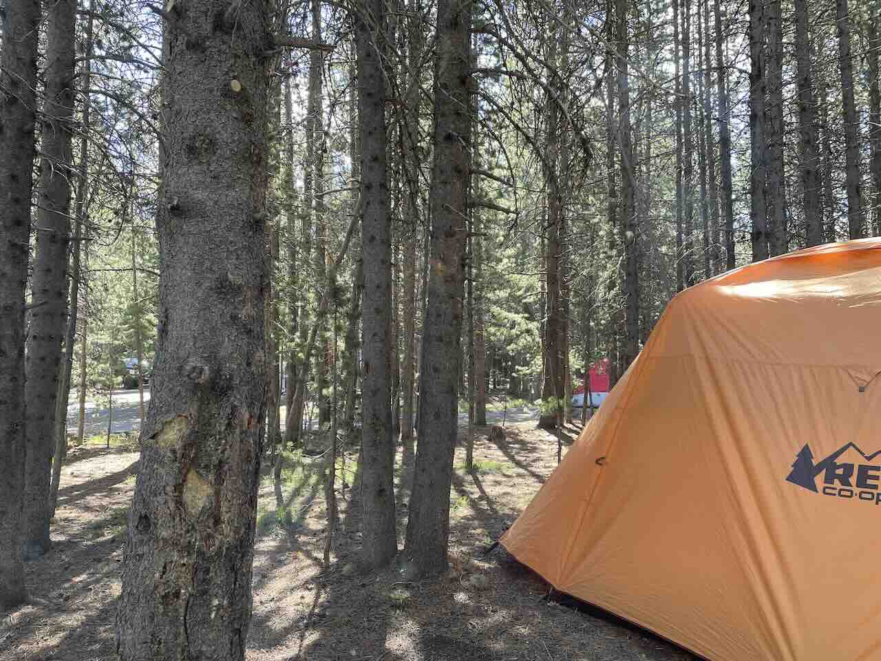 Grant Village Campground Yellowstone National Park: Tent Camping Among the Trees - Tomo Travel & Camping Orange REI tent set up among tall pine trees at Grant Village Campground in Yellowstone National Park during a family tent camping trip in summer