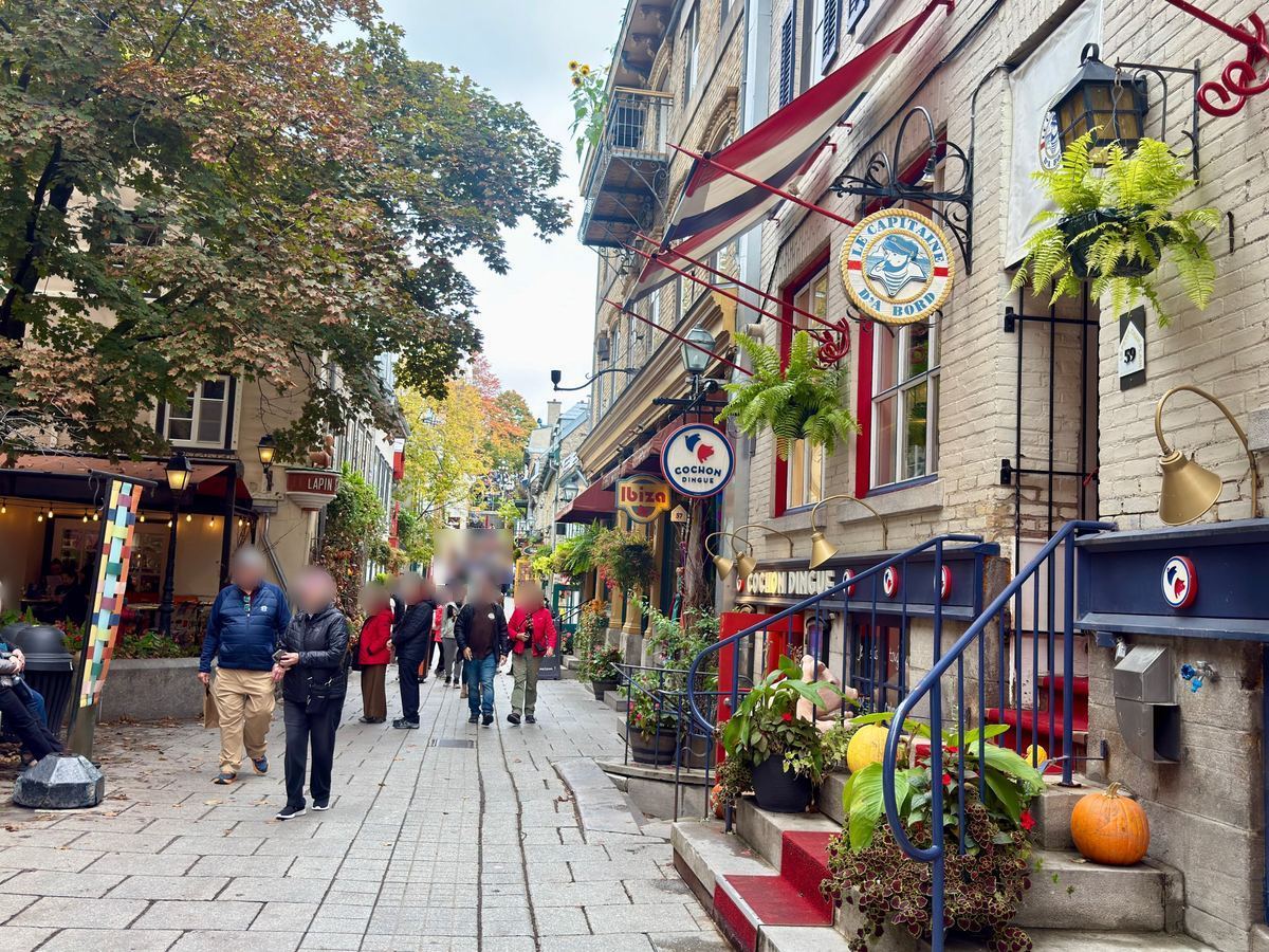petit-champlain-street in Quebec City - Tomo Travel & Camping Pedestrian street lined with shops and cafés, people walking under autumn trees and colorful signs; pumpkins on the steps outside a restaurant.